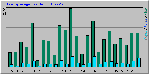 Hourly usage for August 2025