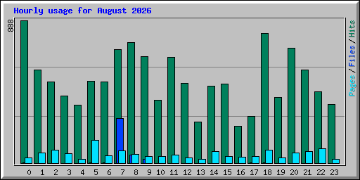 Hourly usage for August 2026